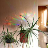 Botanopia - Suncatcher Fenster - Sticker • Keep going to keep growing - ROSA ECK