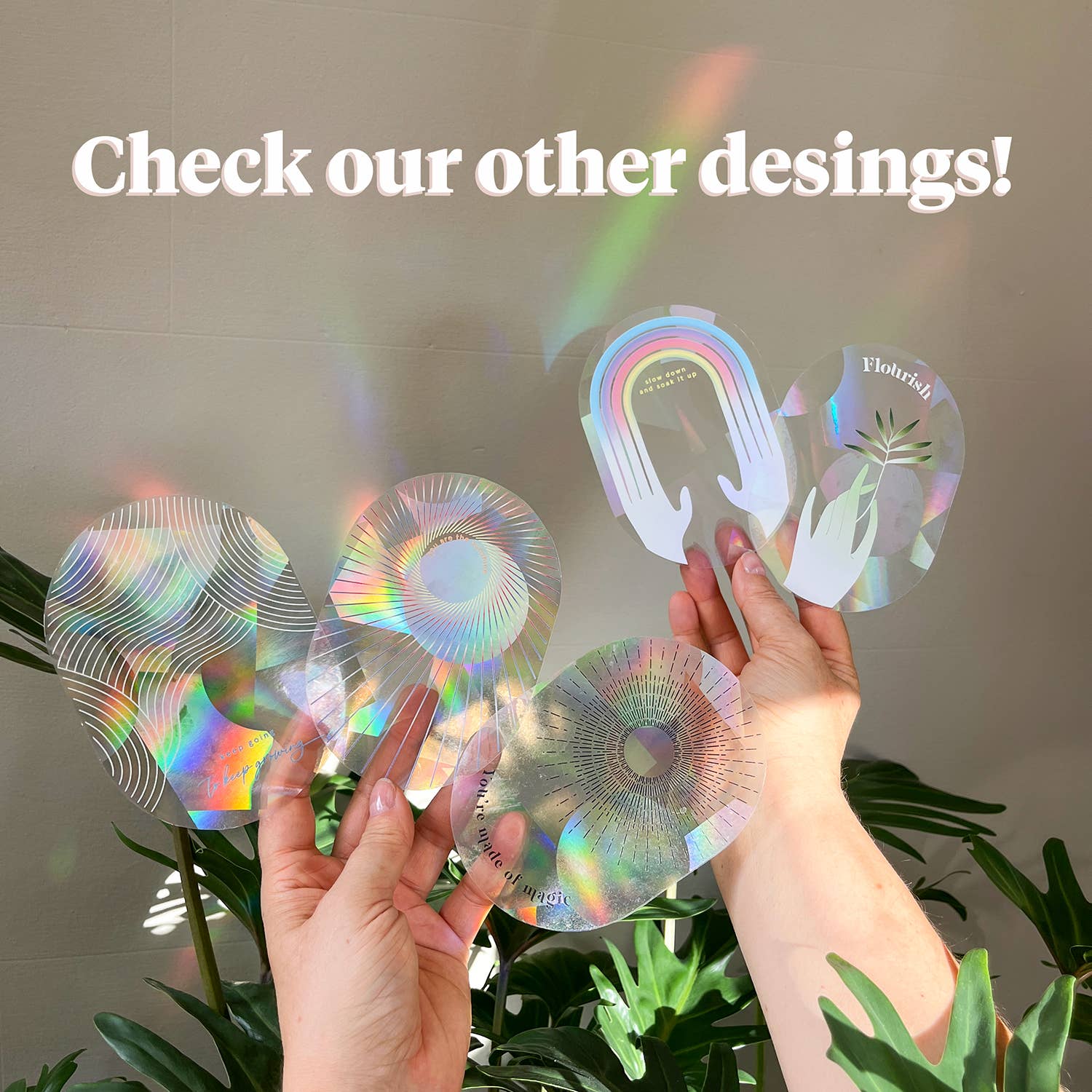Botanopia - Suncatcher Fenster - Sticker • Slow down and soak it up - ROSA ECK