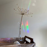 Botanopia - Suncatcher Fenster - Sticker • You are loved - ROSA ECK