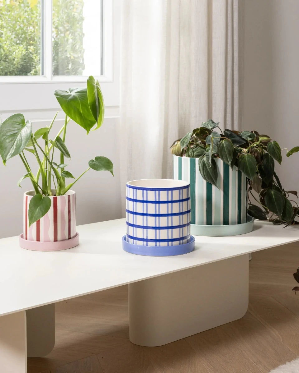 &Klevering - CLASH Blumentopf • Wiggle - ROSA ECK
