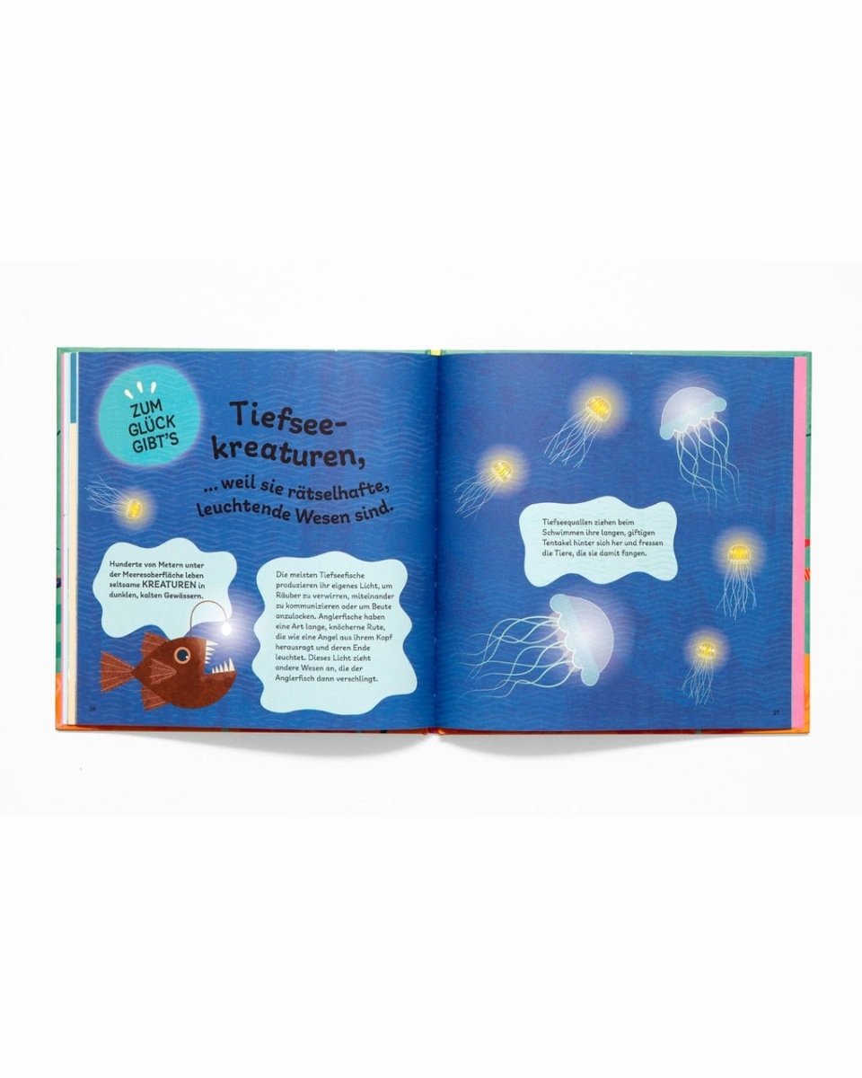 Laurence King Publishing - ZUM GLÜCK GIBT'S OZEANE UND MEERE Kinderbuch - ROSA ECK - Kinder, LKG,