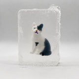 Ludi Soap - Seife mit Figur • Katze - ROSA ECK