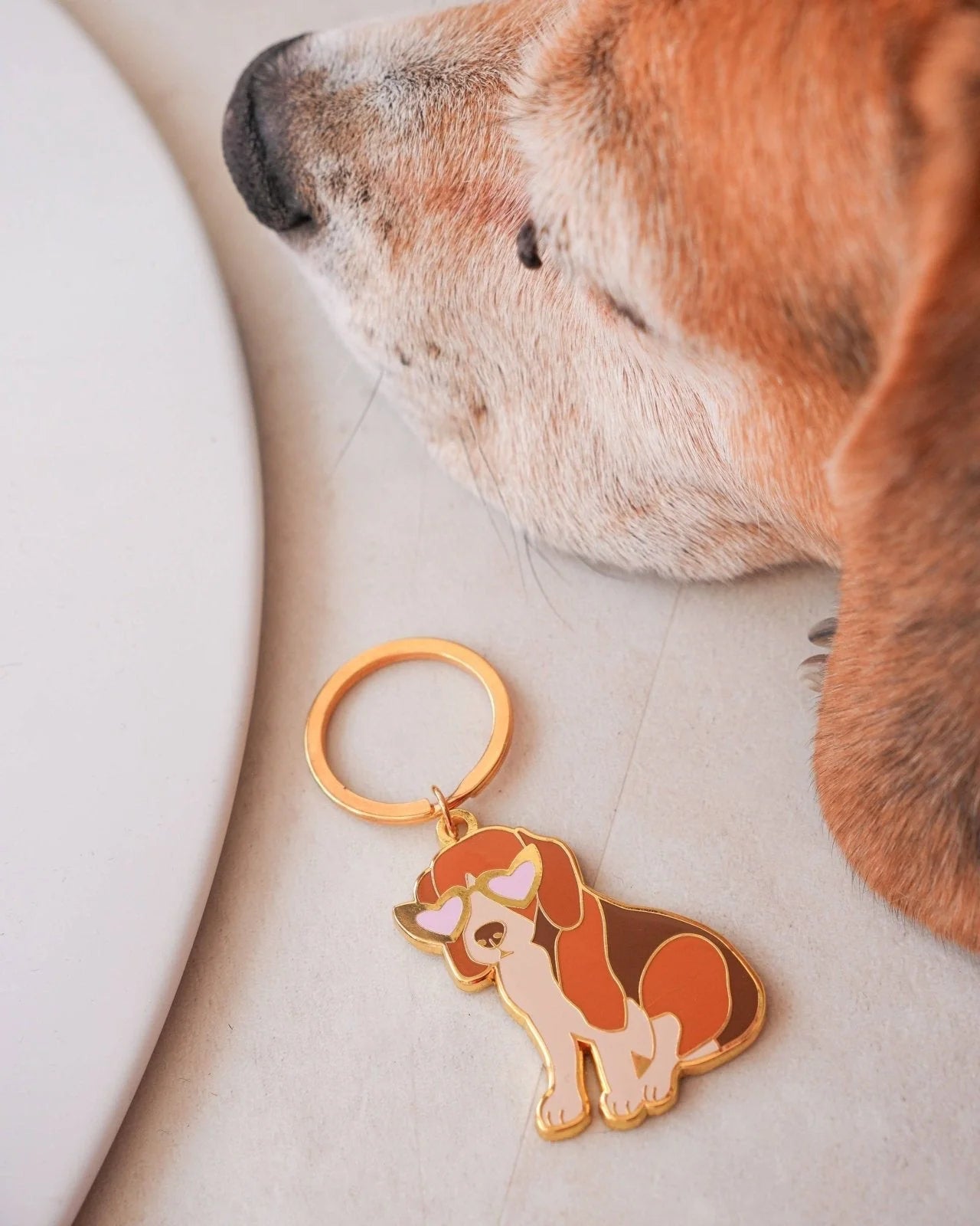 MALICIEUSE - BEAGLE Schlüsselanhänger - ROSA ECK