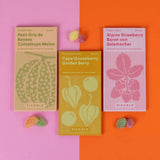 Piccolo Seeds - UNUSUAL FRUITS Saatgut - Set für Früchte - Saatgut - ROSA ECK Concept Store