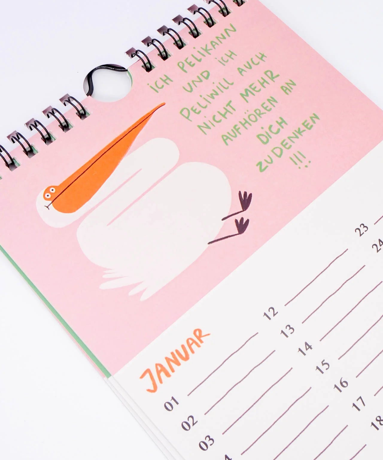 Slinga Illustration - Gans Lieber Vogelkalender - Kalender - ROSA ECK Concept Store