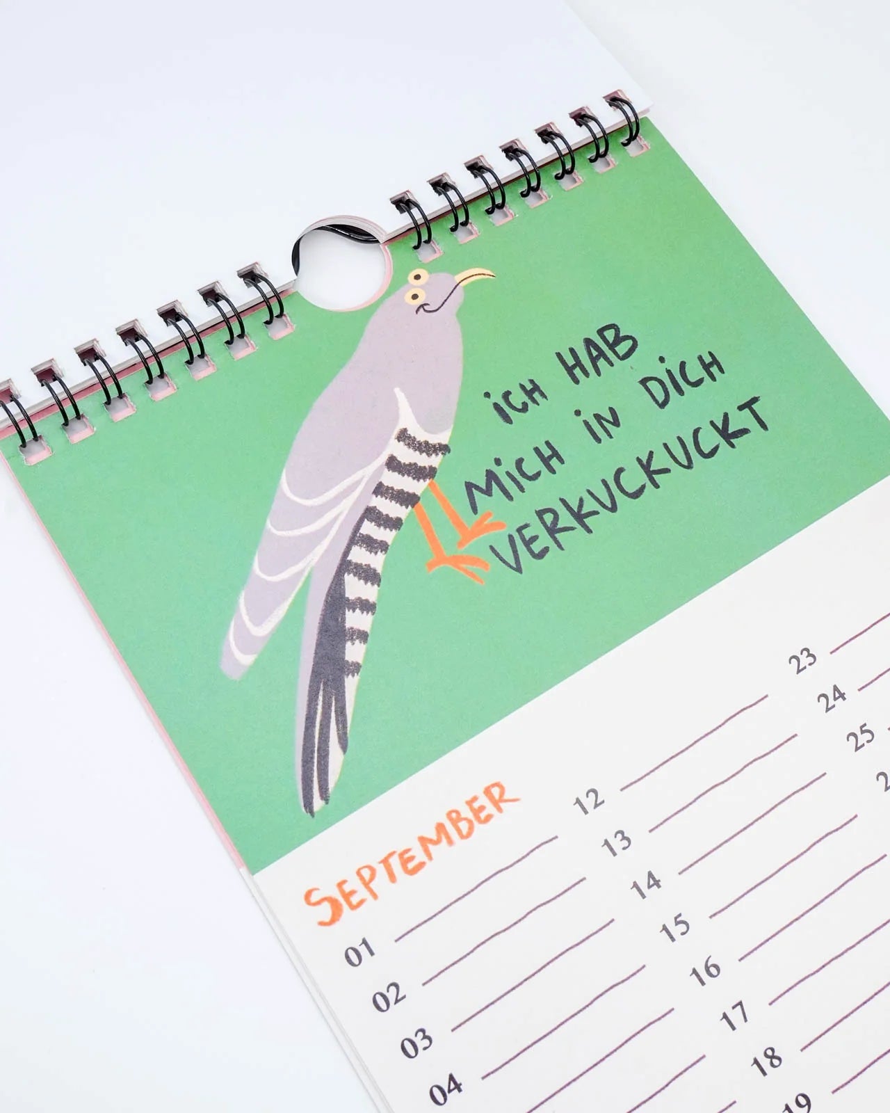 Slinga Illustration - Gans Lieber Vogelkalender - Kalender - ROSA ECK Concept Store