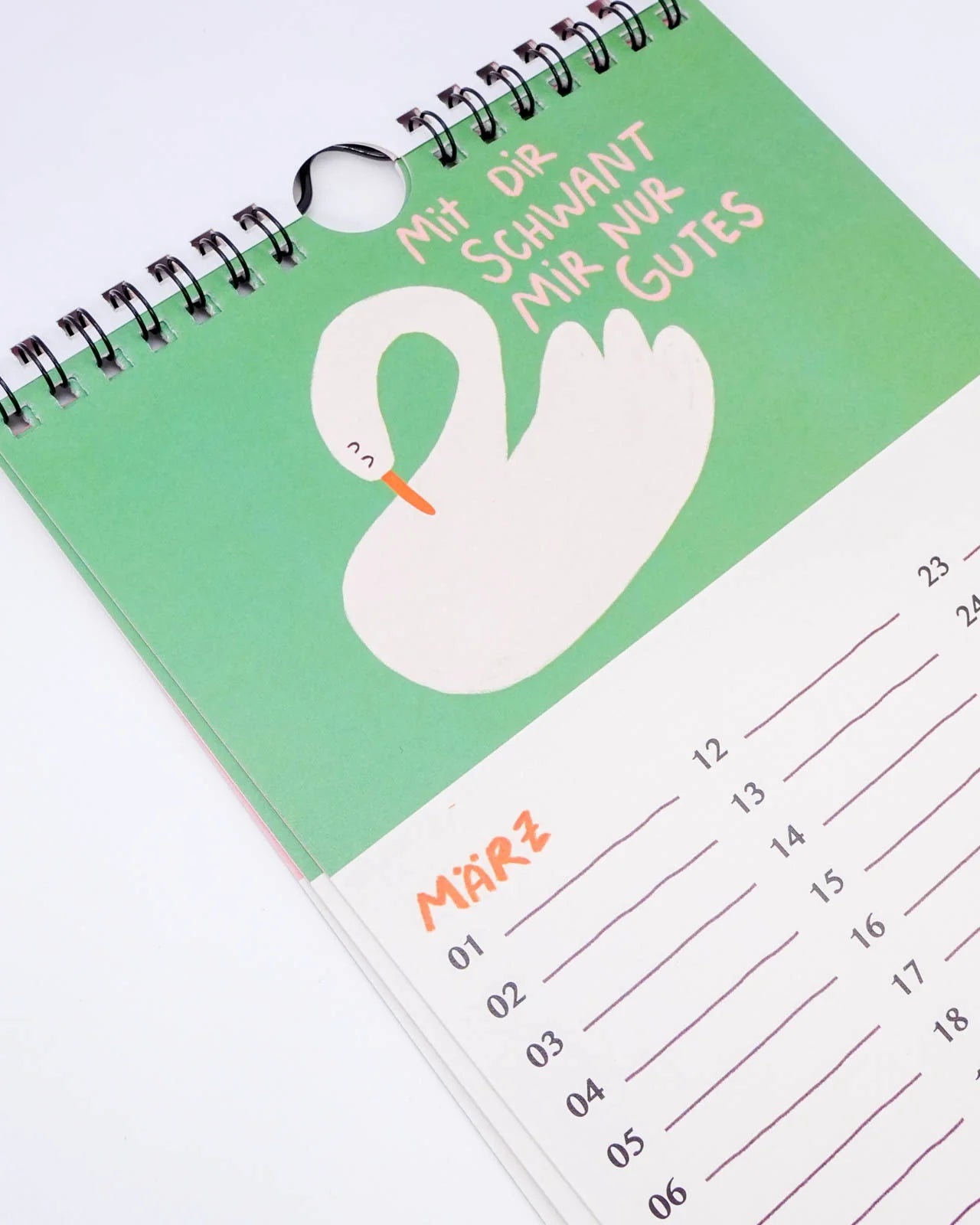 Slinga Illustration - Gans Lieber Vogelkalender - Kalender - ROSA ECK Concept Store